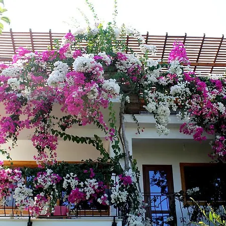 Bed and Breakfast Liman *