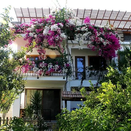 Oda ve Kahvaltı Liman